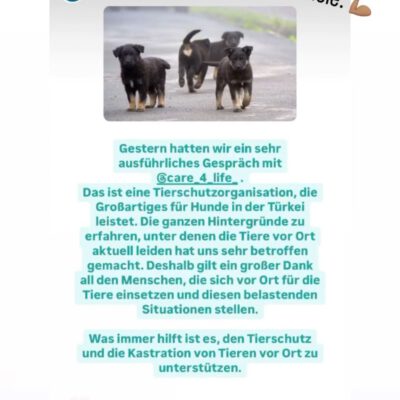 Austausch mit der Tierschutzbeauftragen Baden-Württembergs und der Stabstelle Tierschutz