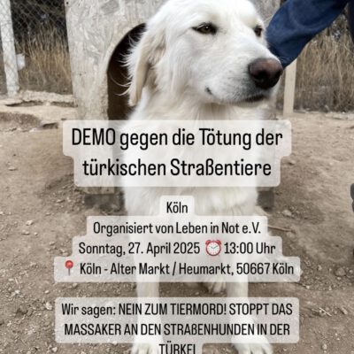 Dringender Appell
