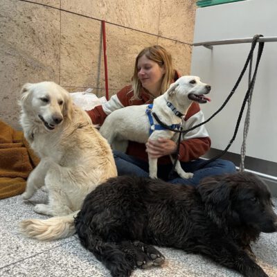 Welcome Home Hera und Co.
