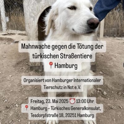 Mahnwache in Hamburg
