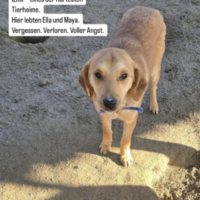 Ein neuer Anfang
