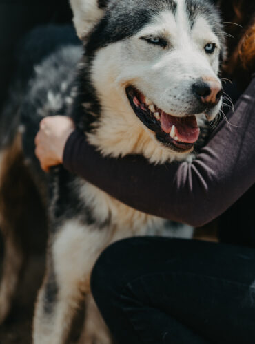 Kimba