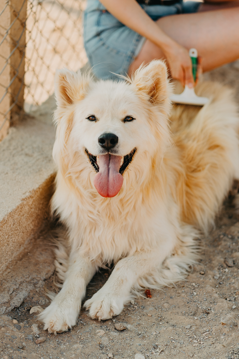 Balu