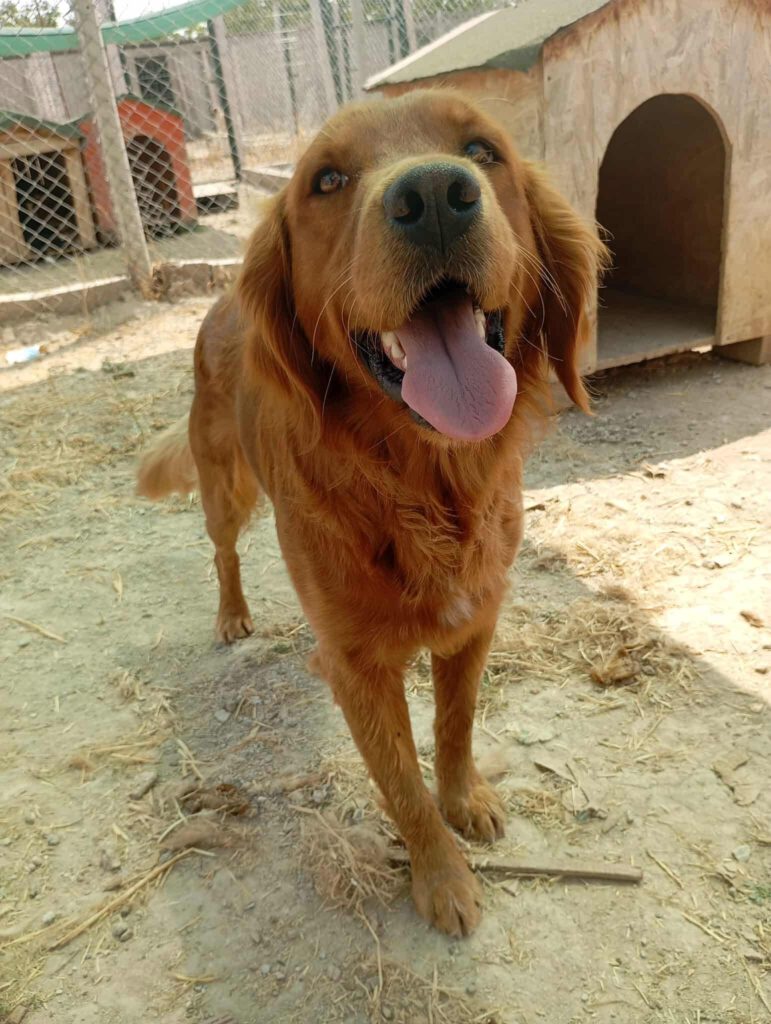 Kitir