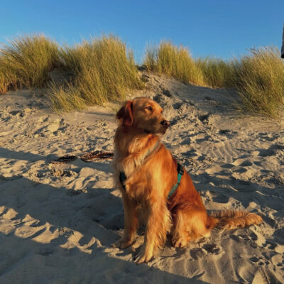 Die Sommerzeit ist da