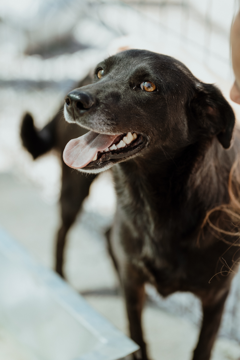 Bella
