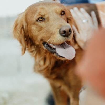Eine zweite Chance für Kitir