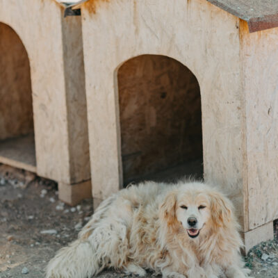 Ein stiller Neujahrsgruß