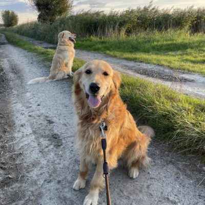 Axel ist endlich in seiner Für-Immer-Familie