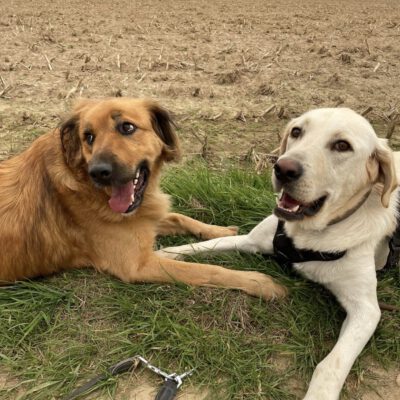 Zwei Schicksale, ein neues Leben