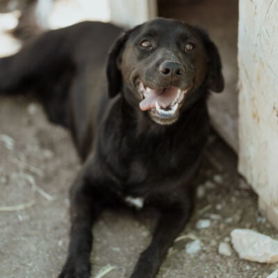 Ein wichtiges Anliegen