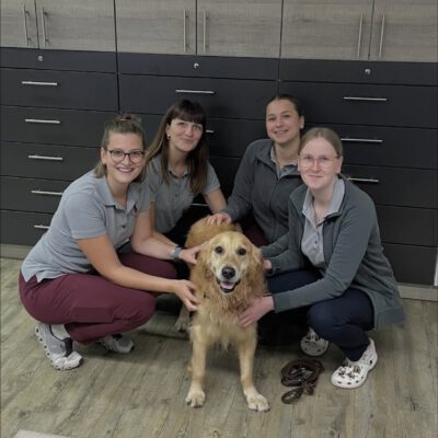 Unser tapferer Axel beim Zahnarzt