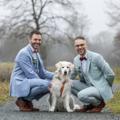 Eine schöne Nachricht vor Weihnachten