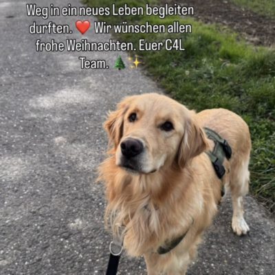 Care4Life wünscht Frohe Weihnachten