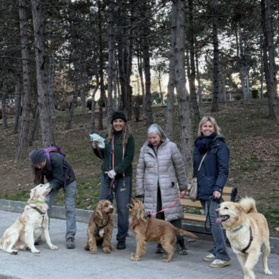 Unser Nikolauswunsch