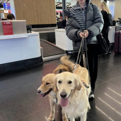 Welcome Home Gracie und Alex