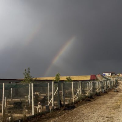 Ein Blick auf unser Jahr 2025