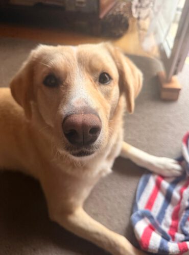 WhatsApp-Image-2026-02-13-at-11.56.24-1