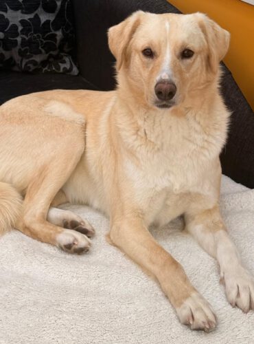 WhatsApp-Image-2026-02-13-at-11.56.25