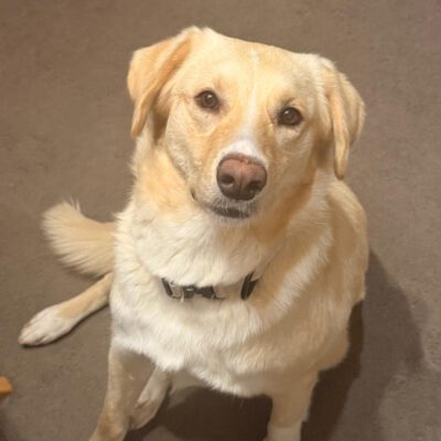 Bella braucht dringend eure Hilfe