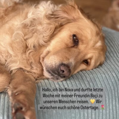 Ein paar liebe Ostergrüße