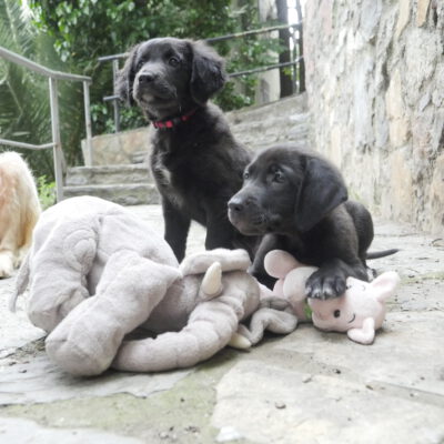 Update zu unserer Tokat-Mama