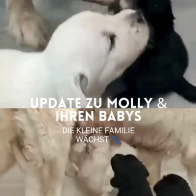 Update aus Mollys Kinderstube