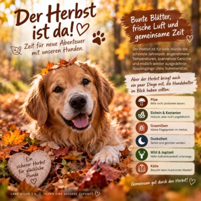 Der Herbst ist da